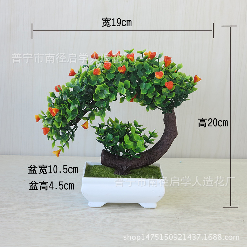 月牙送玫瑰夕阳红