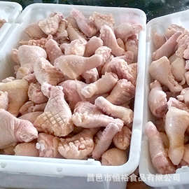 供应山东冷冻批发零售冷冻鸡产品质老鸡翅分割鸡产品整鸡翅