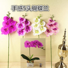 ���滨�ٻ����l�����֦�ָ�5�^�zƬ�����m ��c�zӰ�Ҿ��b�