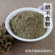 鹅不食草粉 鹅不食草 满天星粉 石胡荽粉地胡椒 制香料专用代加工