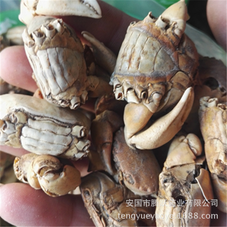 Fang Hai Crab Shell Dried Seafood Herb Traditional TCM Ingredient Wholesale Bulk key features