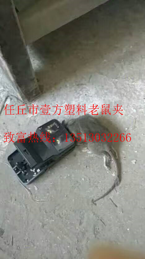 mmexport1493450494631
