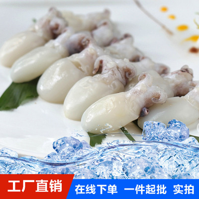 墨魚仔 小墨魚 精選食材 爽滑彈牙冷凍墨魚 軟體海鮮 冷凍海鮮