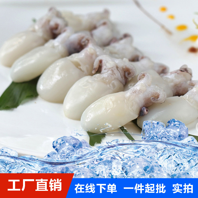 墨魚仔 小墨魚 精選食材 爽滑彈牙冷凍墨魚 軟體海鮮 冷凍海鮮