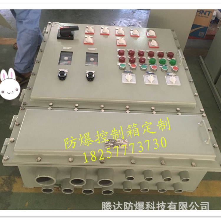 乐清防爆仪表控制箱 照明动力配电箱BXK58-t 触摸屏箱 厂家