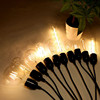 Retro transparent bulb, decorations, tungsten lamp, LED light source