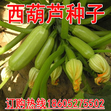 ͥԺ߲˹ϹJNܹϰ׹ϷϹС˹nѬ