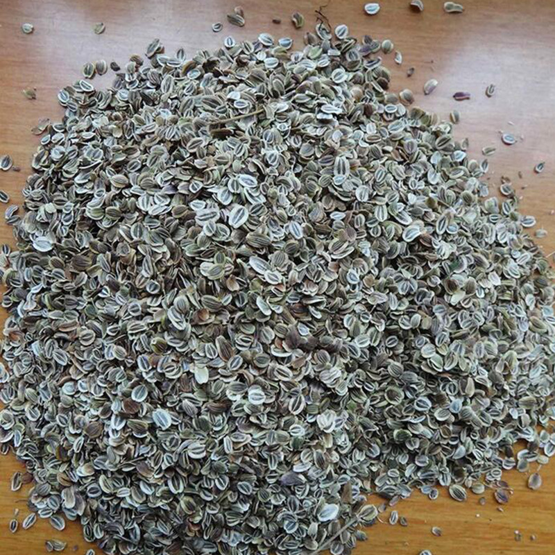 白花前胡10-49千克批125元1千克 50 千克批120元