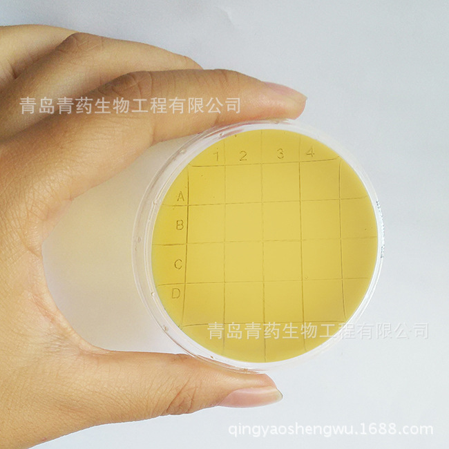 TSA表面接触皿55mm HBPM035-11 青岛青药培养基
