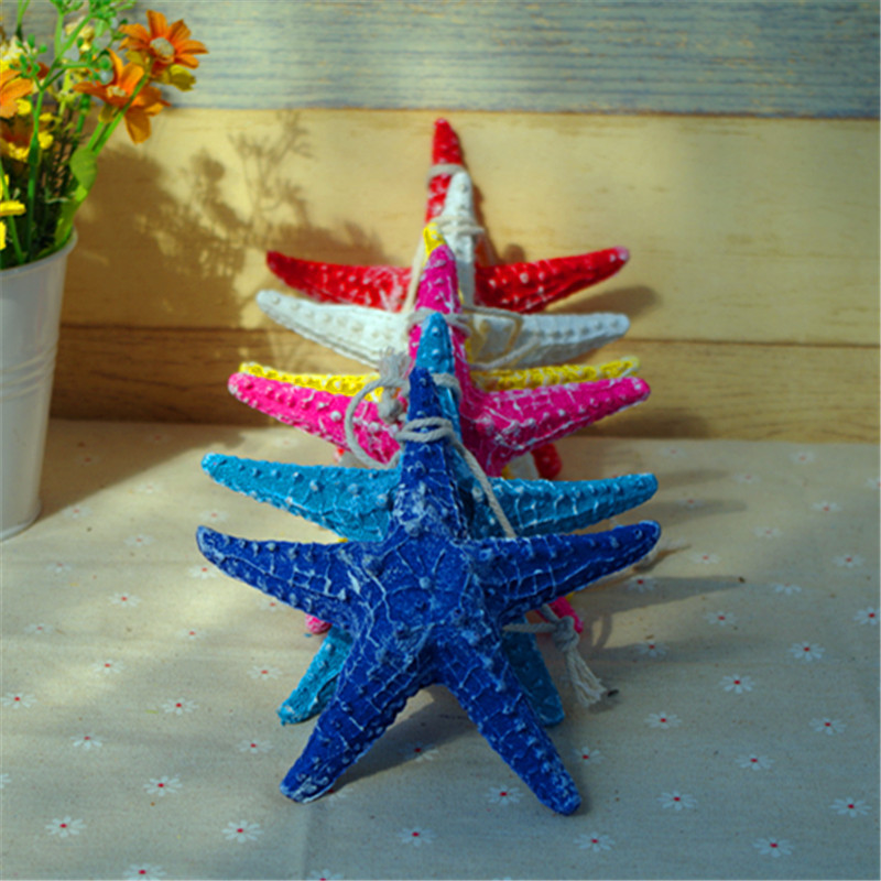 13CM海星2