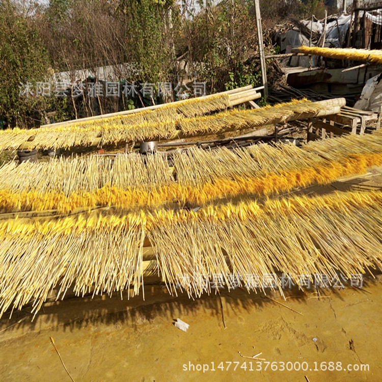 IMG_20161112_143224_副本