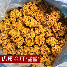 【菌窝子】供应云南金耳黄耳干货一件代发脑耳农产品食用菌类供应