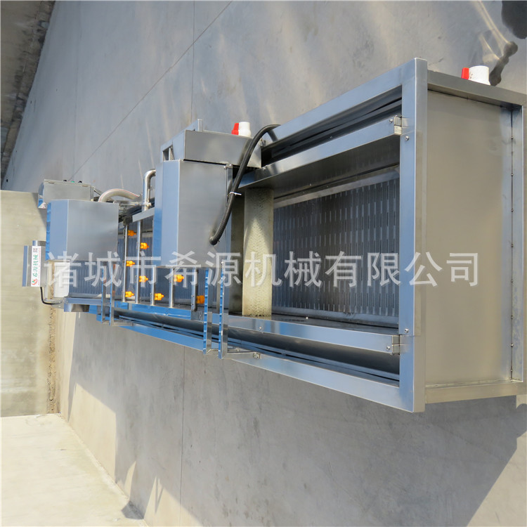 希源蓝莓清洗机 草莓鼓泡清洗设备 全自动泡沫式清洗线厂家