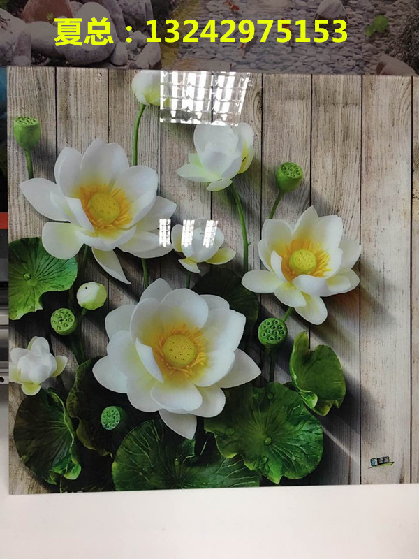 微信圖片_20170814150025