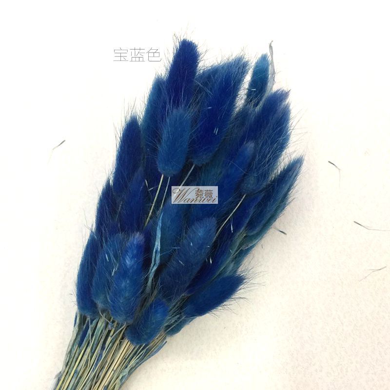 微信图片_20170521112233_副本