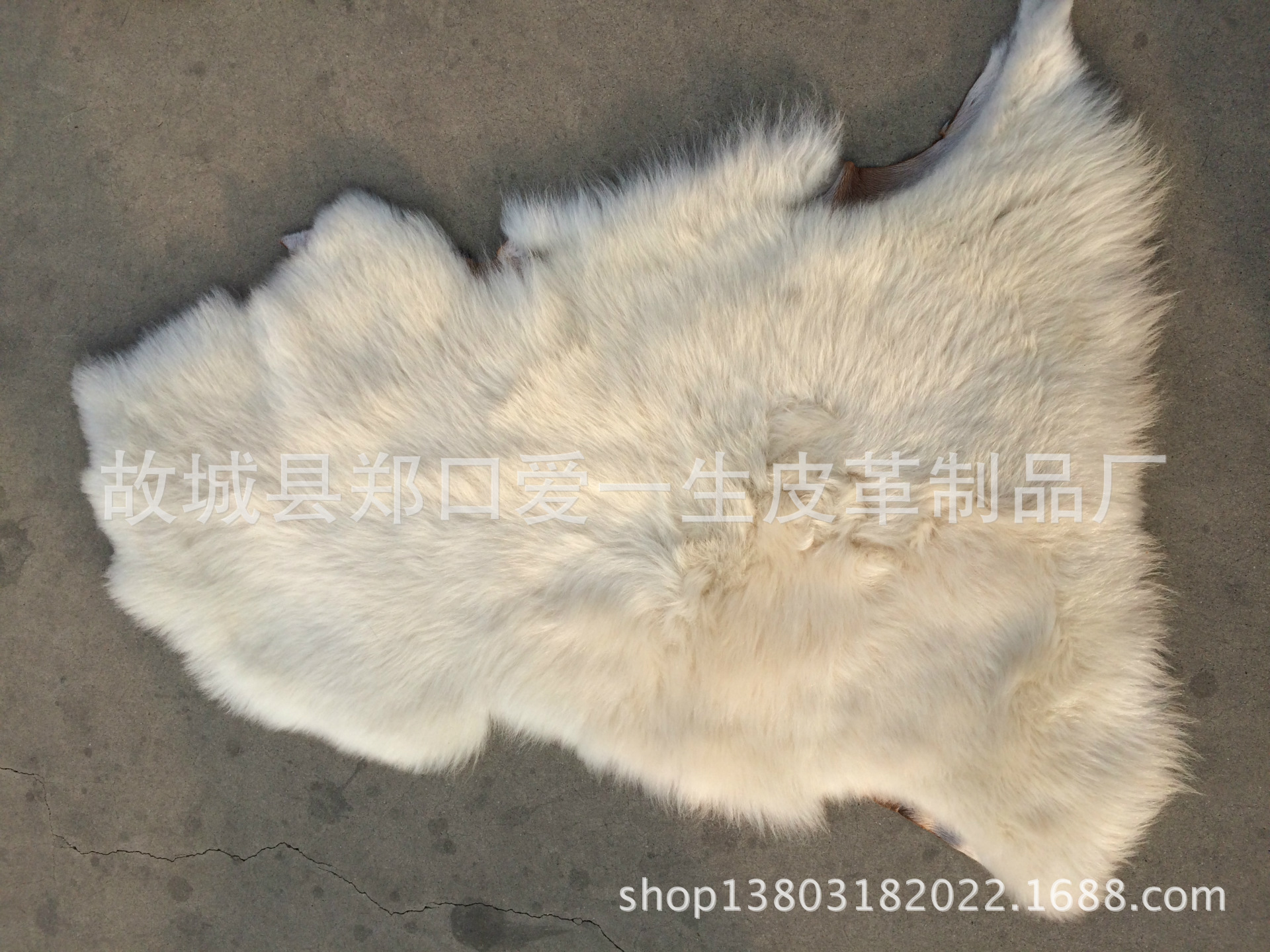 IMG_6215[1]