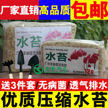 ���|��ˮ̦ ͸�Ᵽ��΢���^�m�������m �I�B���o����ѿ ���ر���