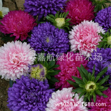 շN ذ ջ tϵ{ ¾ ̨ͥԺ׷N