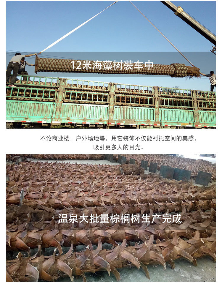 绿色田园景观_10