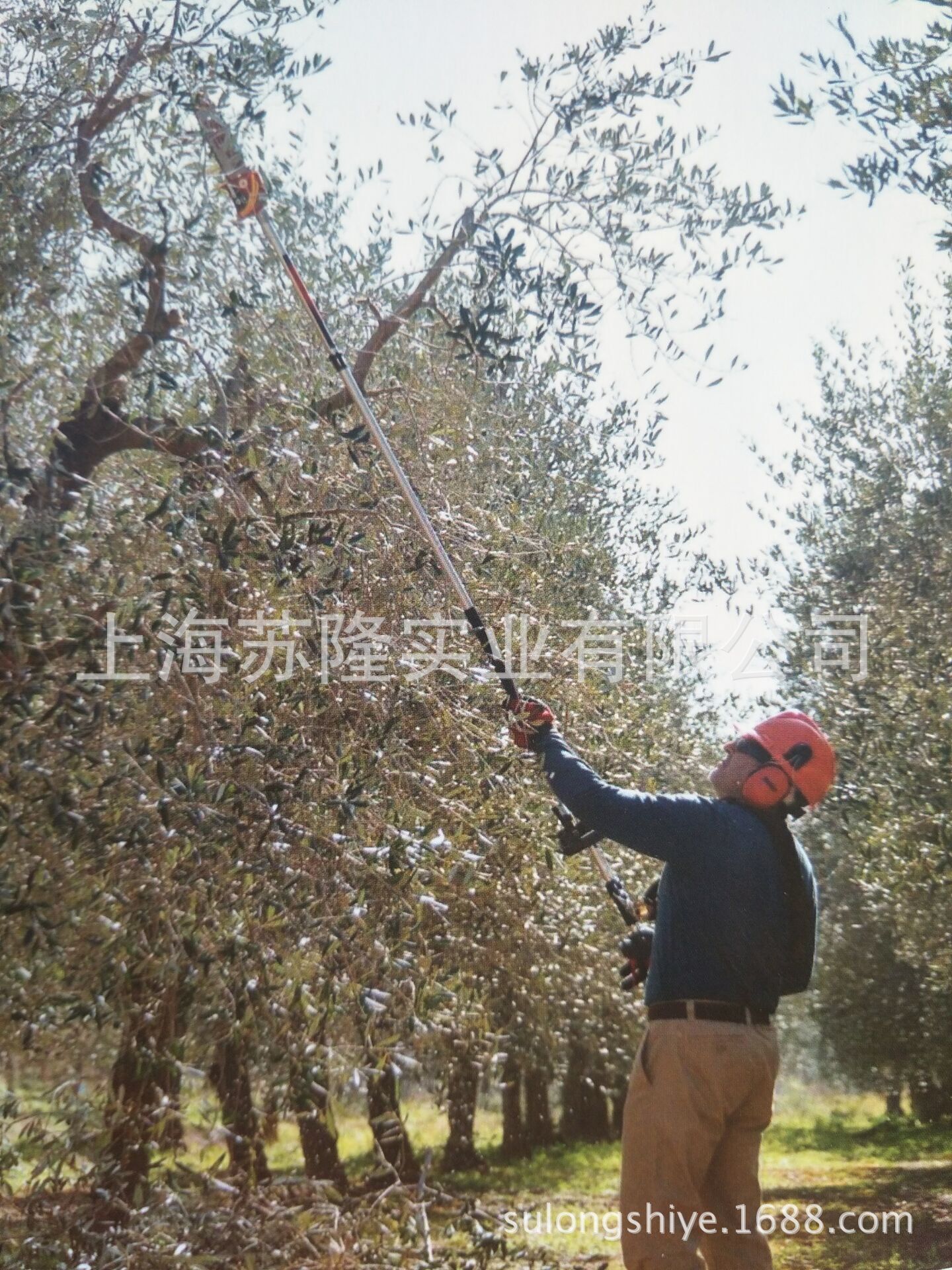 高枝,高枝剪,高枝剪伸缩杆(第8页)_大山谷图库
