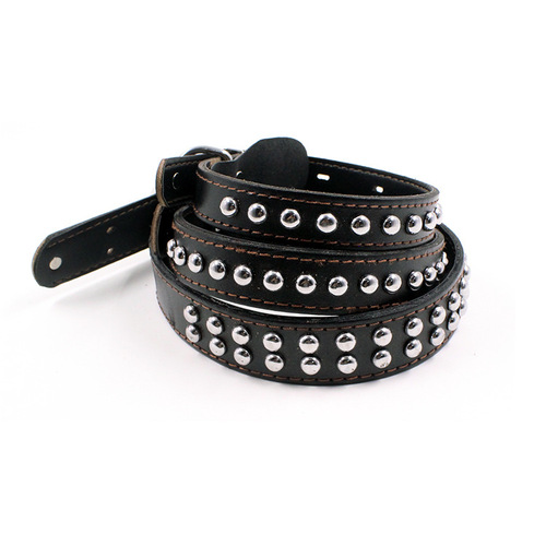 Pet eight-strand cowhide spring leash, outdoor dog leash, medium and large dog explosion-proof dog leash