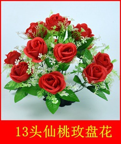 13头花苇仙桃玫