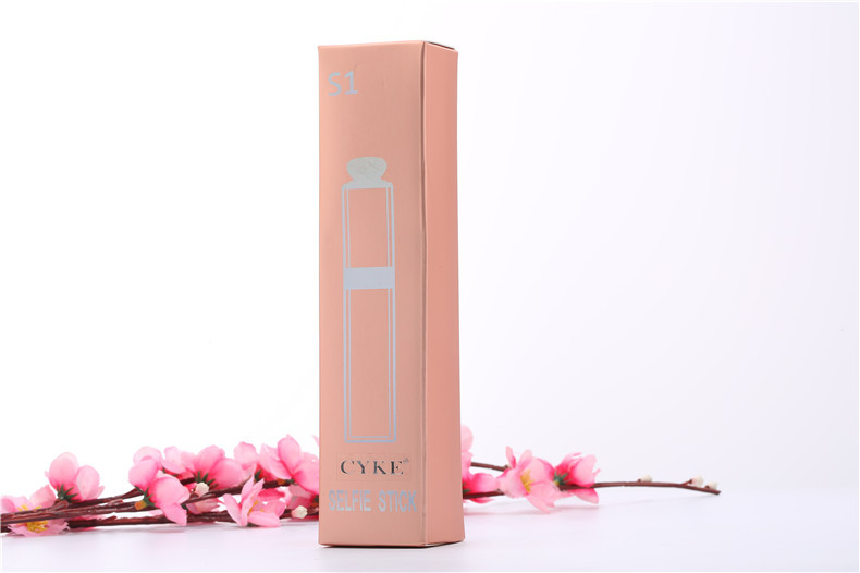 Bâton selfie en Acier inoxydable - Ref 3386145 Image 38