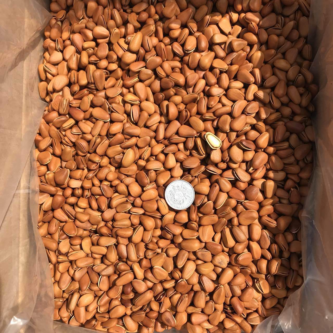 微信图片_20170928110958