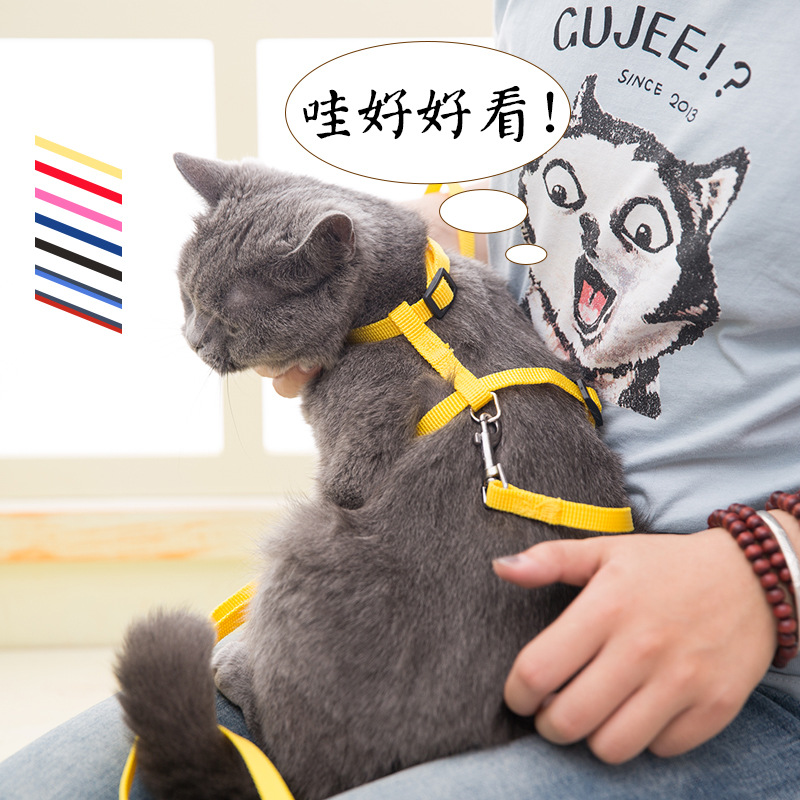Kitty Traction rope 2.2 rice Shaped Cats rope Cats rope chain Cat collars rope Kitty Supplies