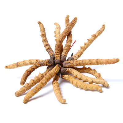 Tibet Nagqu specialty Cordyceps wholesale 4000 Cordyceps sinensis tradition Tonic Healthcare food