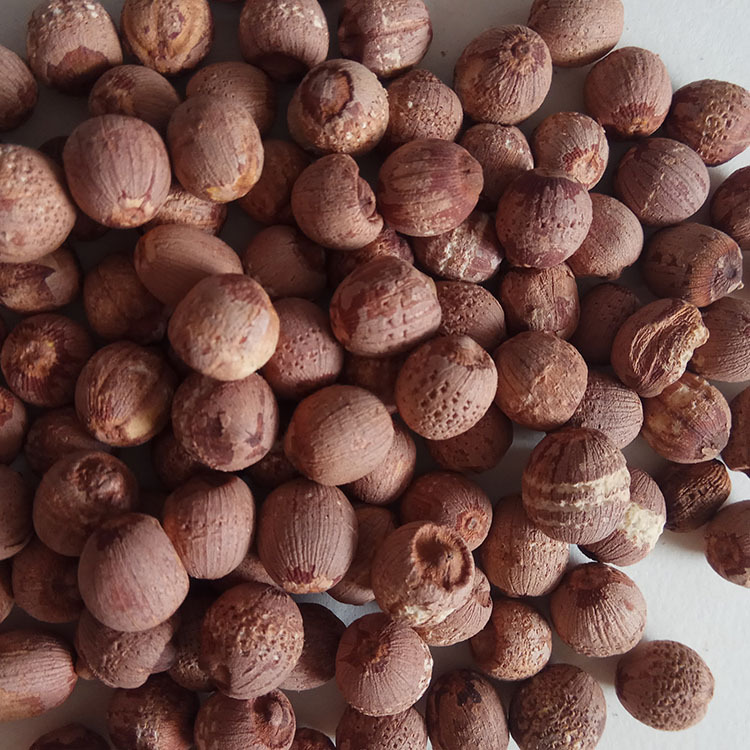 Low Temperature Baked Red Lotus Seeds Hong Lian Zi Dried Lotus Seed for Soup and Congee quality and texture
