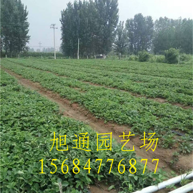 mmexport1472610908729