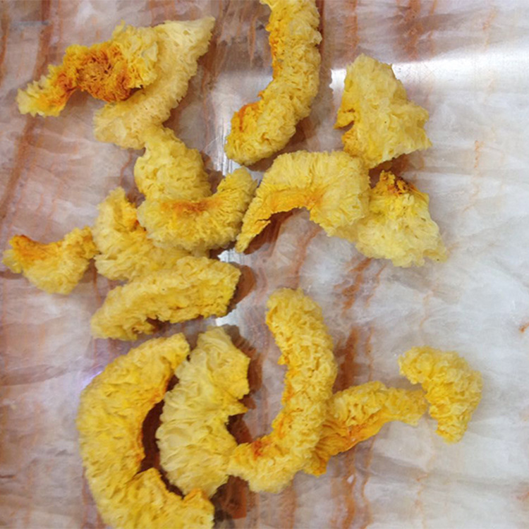 菌子行 古田银耳 银耳切片 银耳粒再生银耳胶质多散装批发