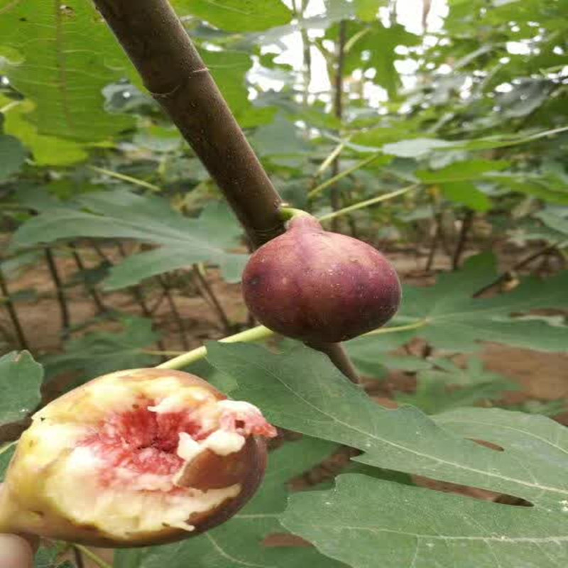 寰俊鍥剧墖_20171227140937_鍓湰