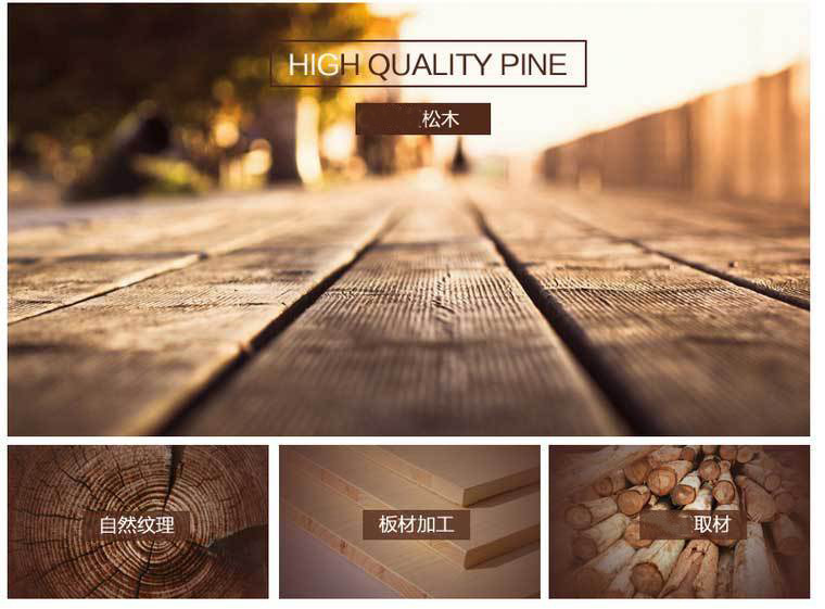 4483312195_1588063514