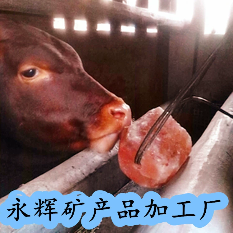 Соляные таблетки Соляной блок Пакистанский кирпич из розовой соли Крупный рогатый скот, лошади, овцы и другой домашний скот Кристаллический соляной кирпич Питание Лижет Блок Лижет Кирпич