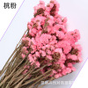 Dry flower wholesale naturally do not forget the self -discipline, Dry Valentine's Day Gifts, Home Resident Flower Architecture Factory Direct Sales