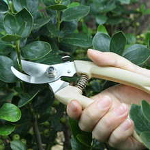 園藝剪不銹鋼修枝剪園林多功能家用省力樹枝剪子工具果樹粗枝剪刀