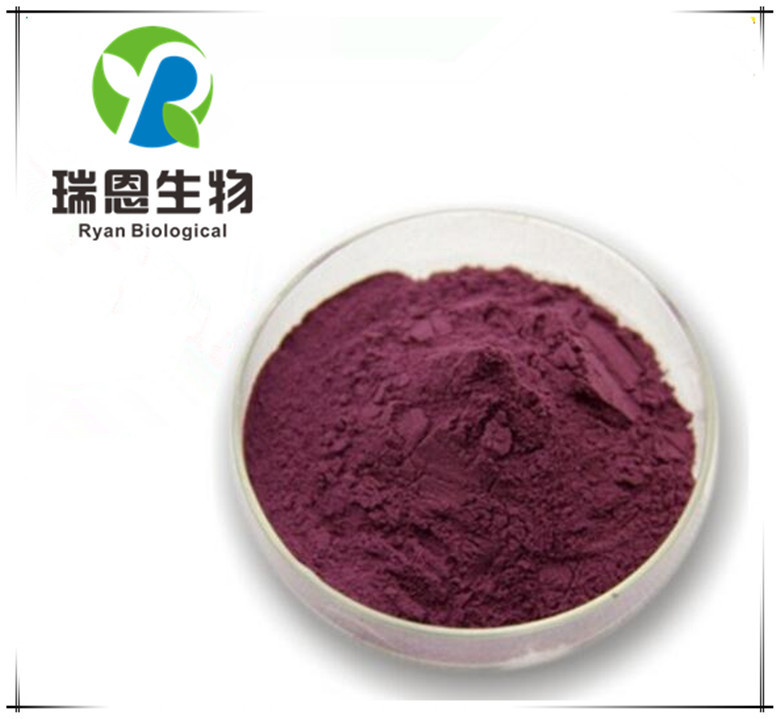 桑葚提取物桑葚花青素25%桑椹厂家1KG起订现货欢迎订购