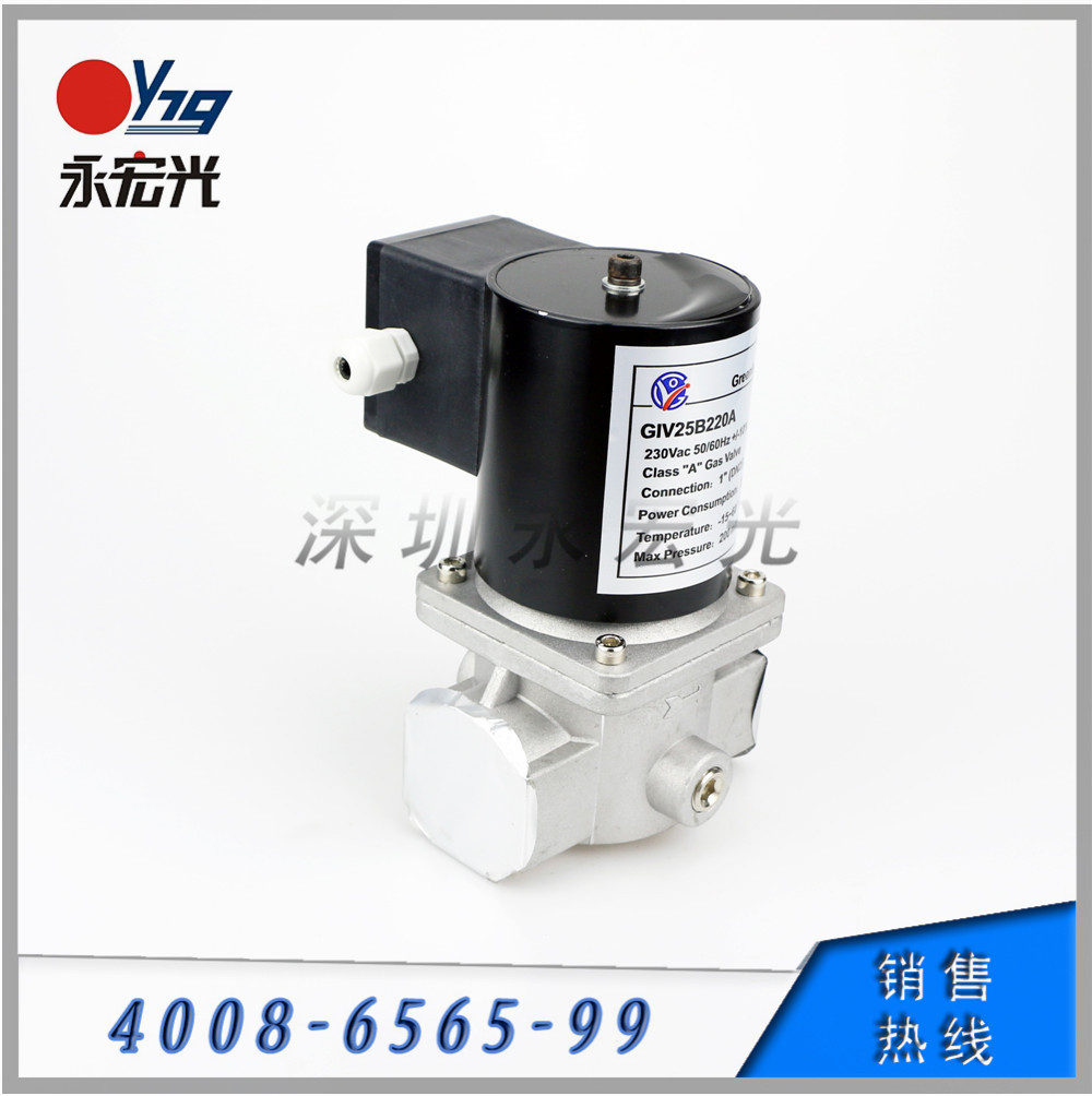 润欧电磁阀GIV25B220A燃烧机电磁阀 工业炉电磁阀