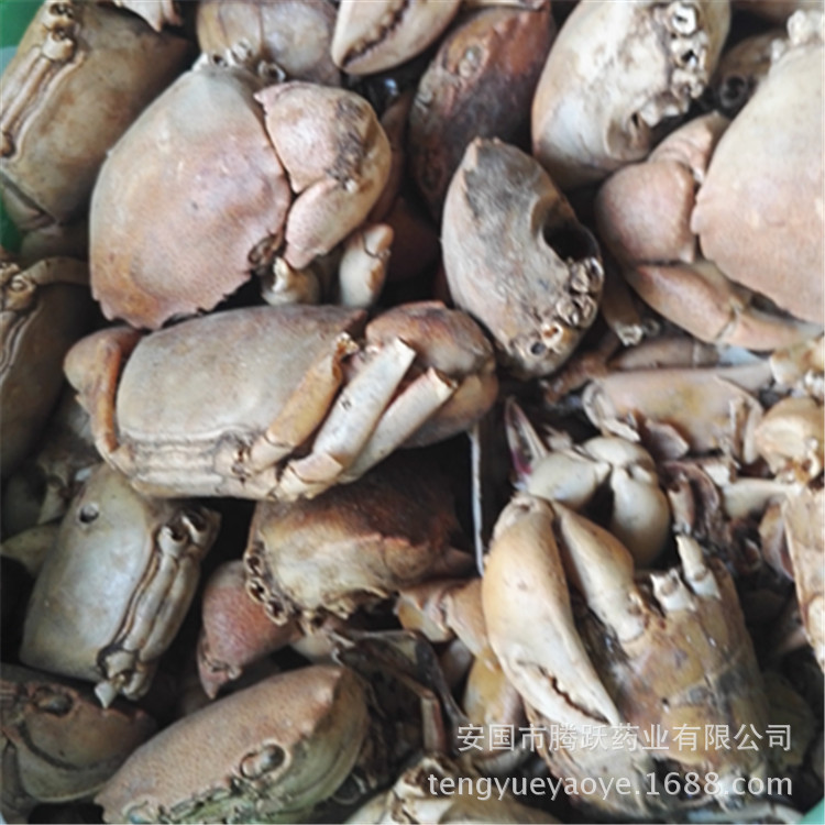 Fang Hai Crab Shell Dried Seafood Herb Traditional TCM Ingredient Wholesale Bulk key features