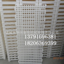 ���d�S��ֱ�N�B�u©�S�W���u�����r�u©�S�ذ�r���������֧����