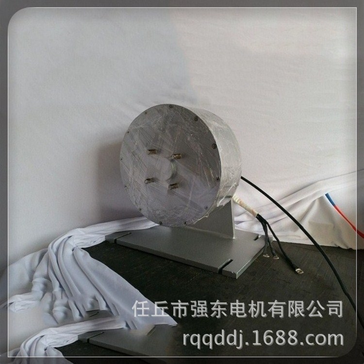 电动汽车轮毂电机