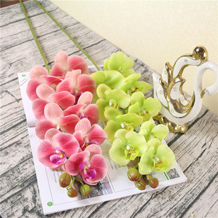 9�^��������m���滨 �ָ��z���ٻ�ܛ�b Ʒ�ƏS��������m�Wʽ