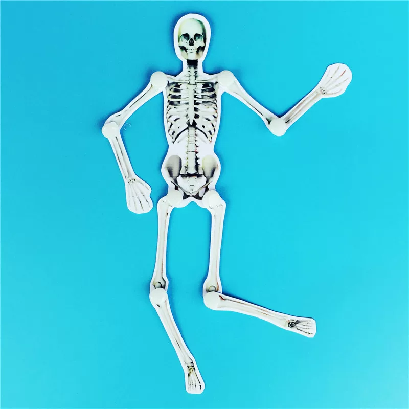 Physiological children's skeleton for early age, smart toy, constructor, teaching aids, handmade, human bone, science