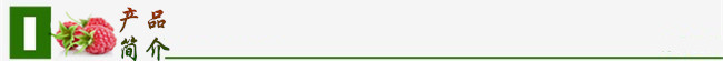 导航-产品简介-覆盆子