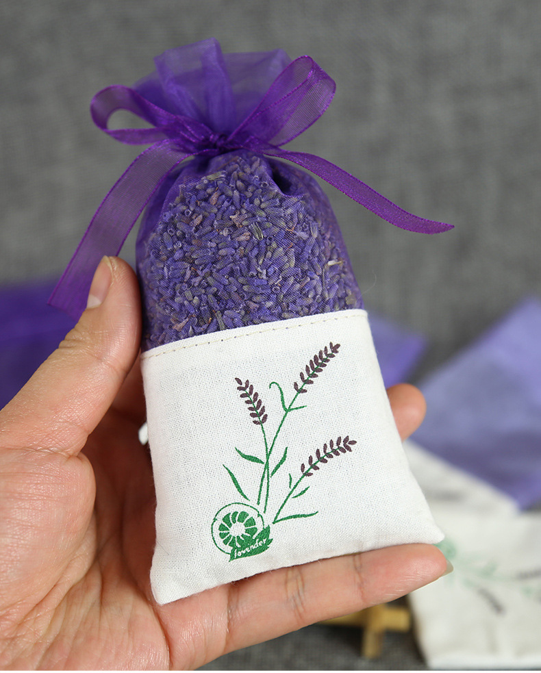 19薰衣草6D外景790