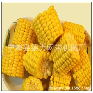 鲜食玉米分段机冻玉米切段机切头去尾输送机自动运输传送带