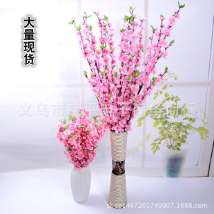 �����һ�֦60�^�һ������Ҙ仨֦�����S��ֱ�N�Ҿ��b�c����