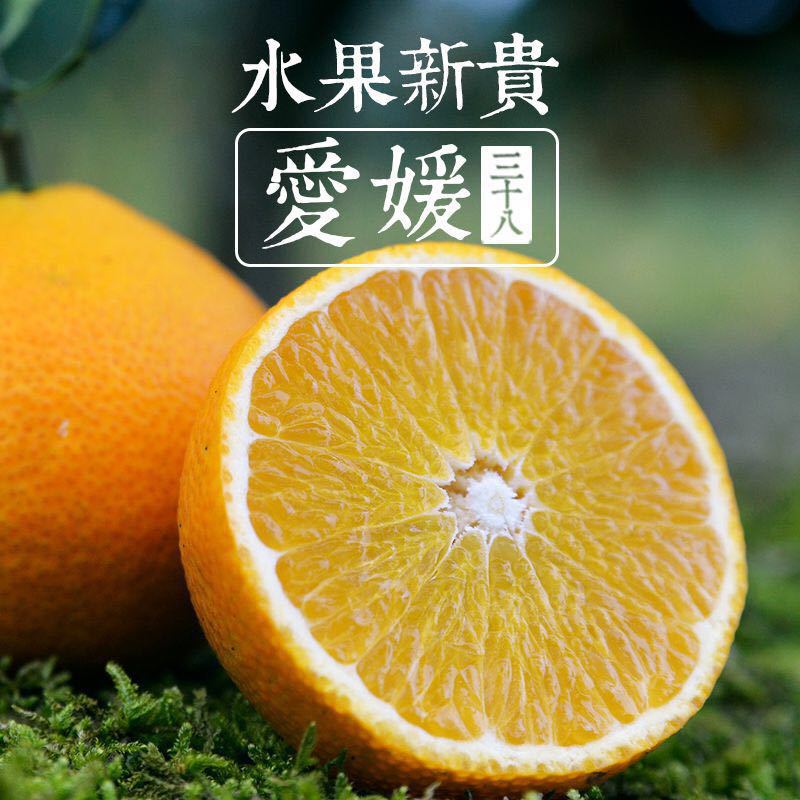 四川爱媛38号果冻橙』精选套袋果现货新鲜大果手剥橙8斤装柑橘